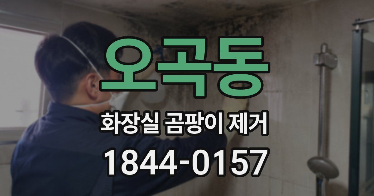 오곡동 화장실 곰팡이 제거