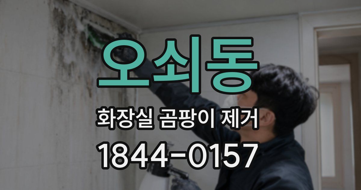 오쇠동 화장실 곰팡이 제거