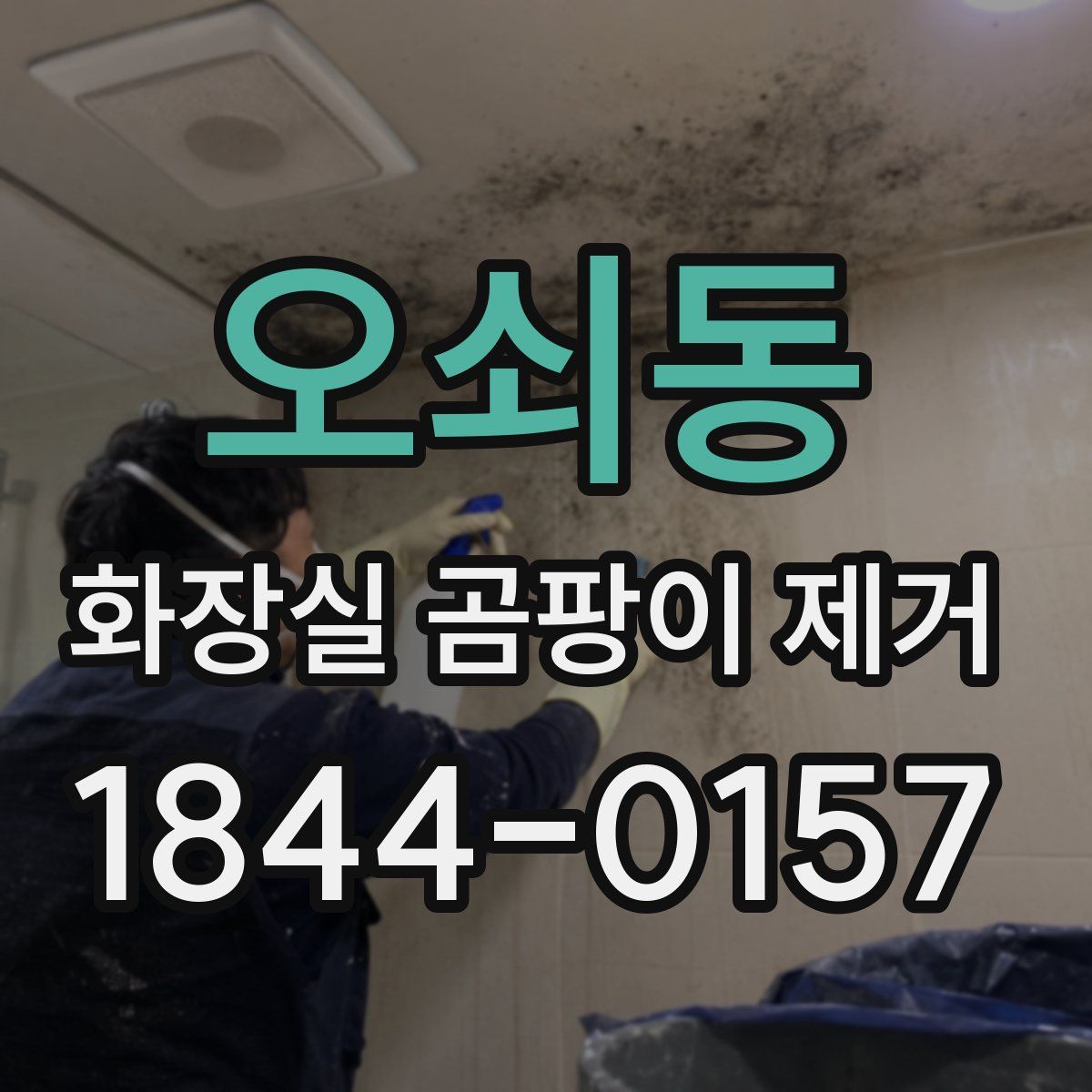 오쇠동 화장실 곰팡이 제거