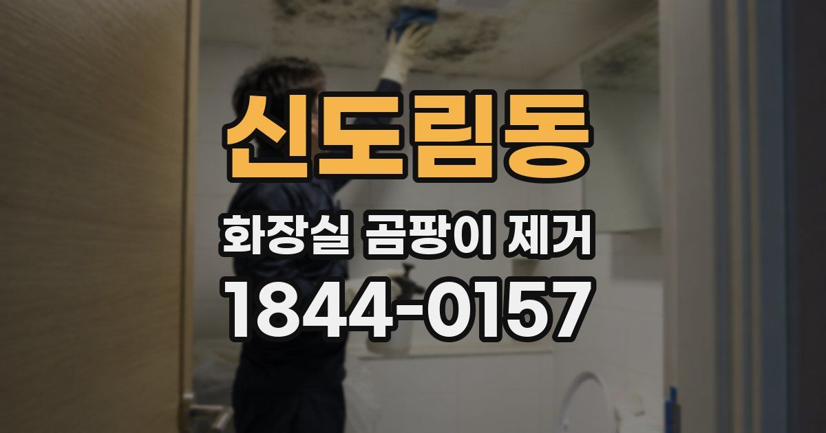 신도림동 화장실 곰팡이 제거