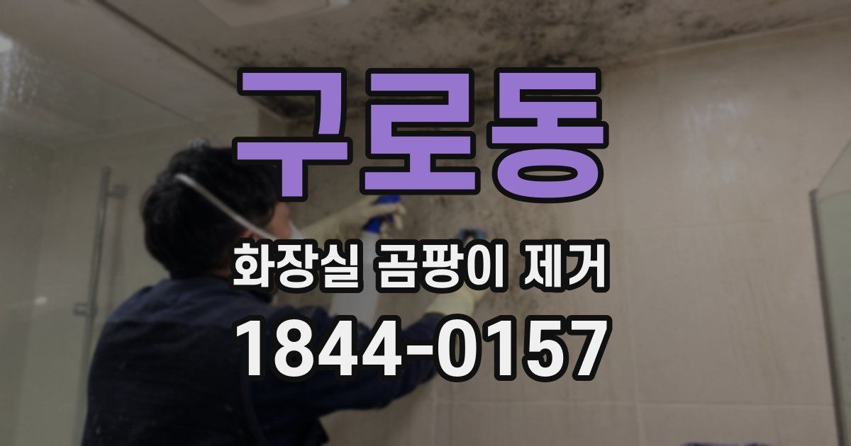 구로동 화장실 곰팡이 제거