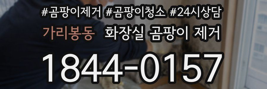 가리봉동 화장실 곰팡이 제거