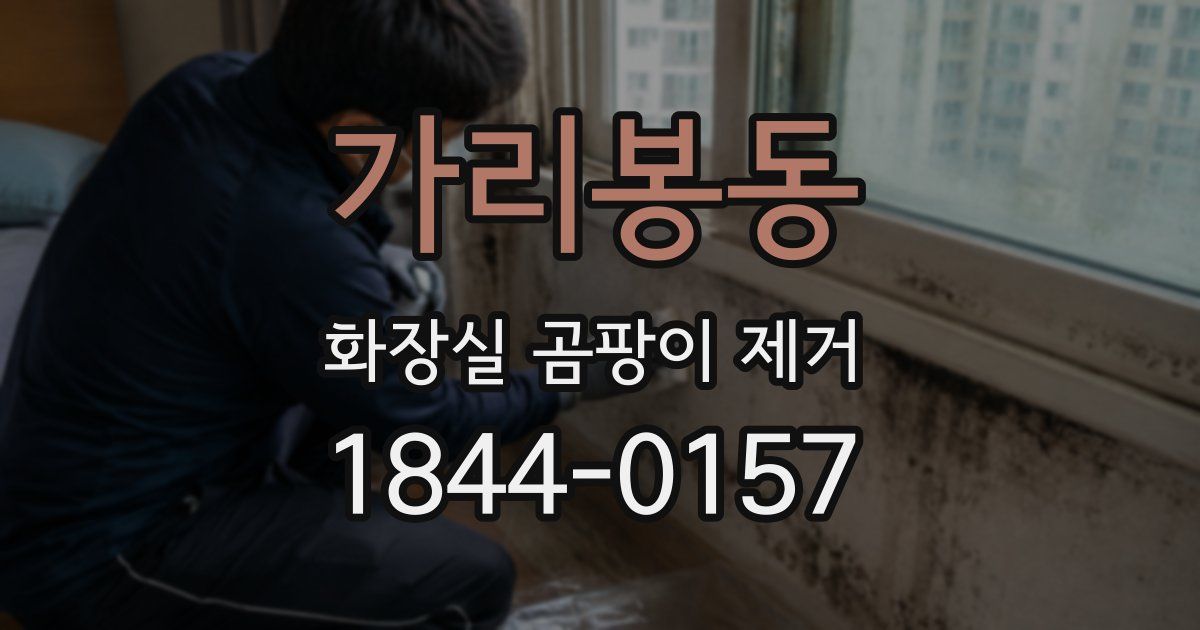 가리봉동 화장실 곰팡이 제거