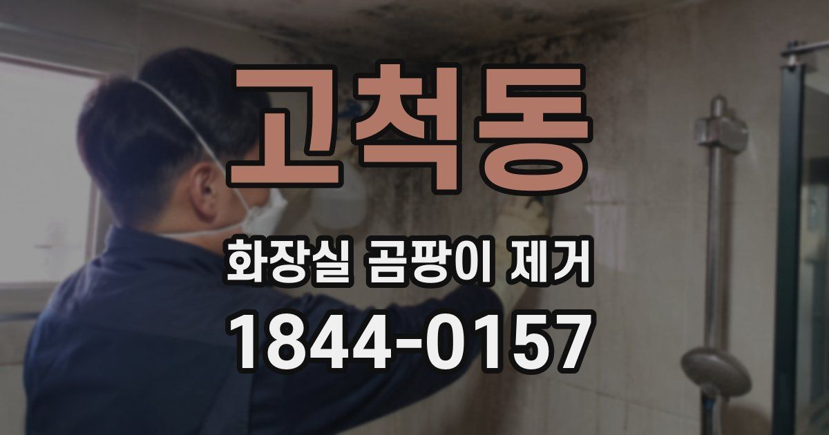 고척동 화장실 곰팡이 제거