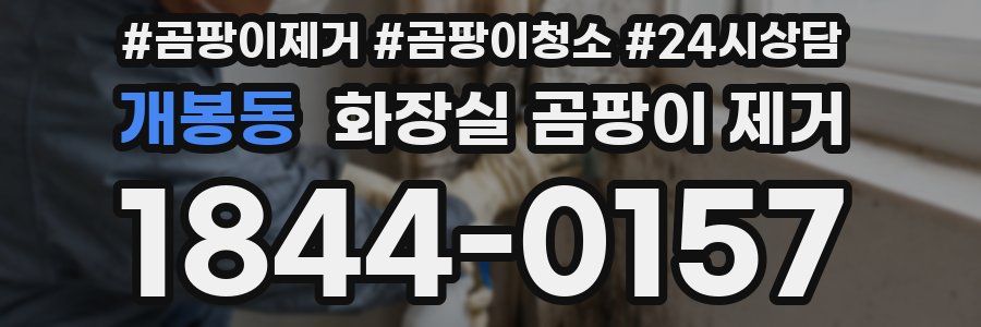 개봉동 화장실 곰팡이 제거