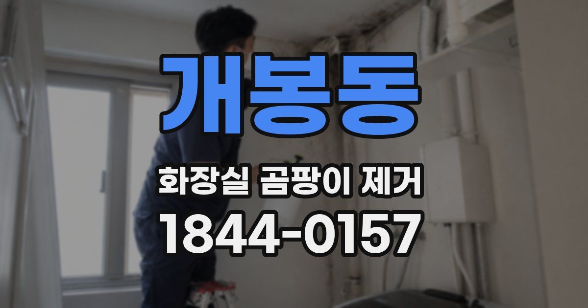 개봉동 화장실 곰팡이 제거