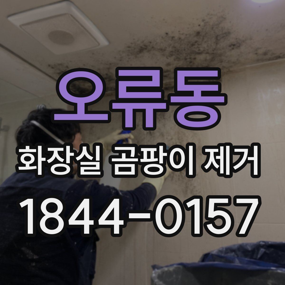 오류동 화장실 곰팡이 제거 시 아이와 반려동물에게 남길 수 있는 잔여물