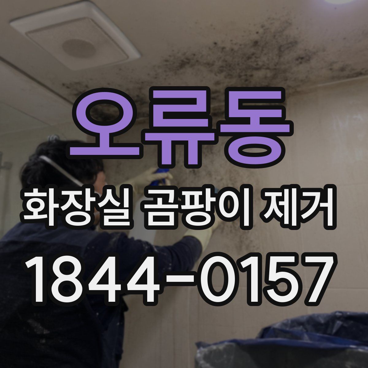 오류동 화장실 곰팡이 제거