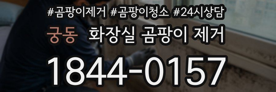 궁동 화장실 곰팡이 제거