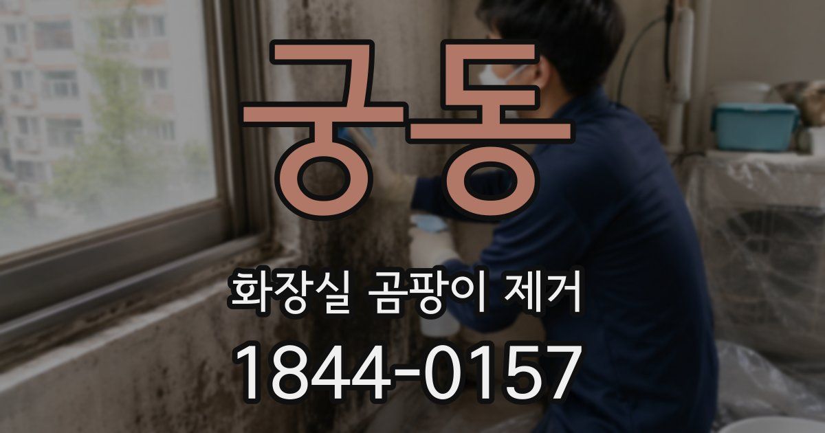 궁동 화장실 곰팡이 제거