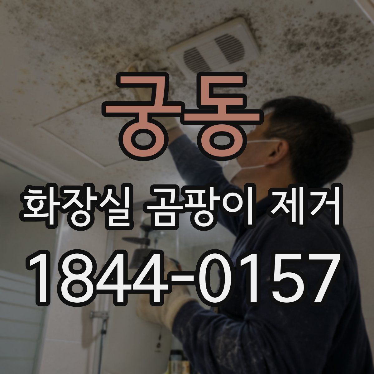 궁동 화장실 곰팡이 제거