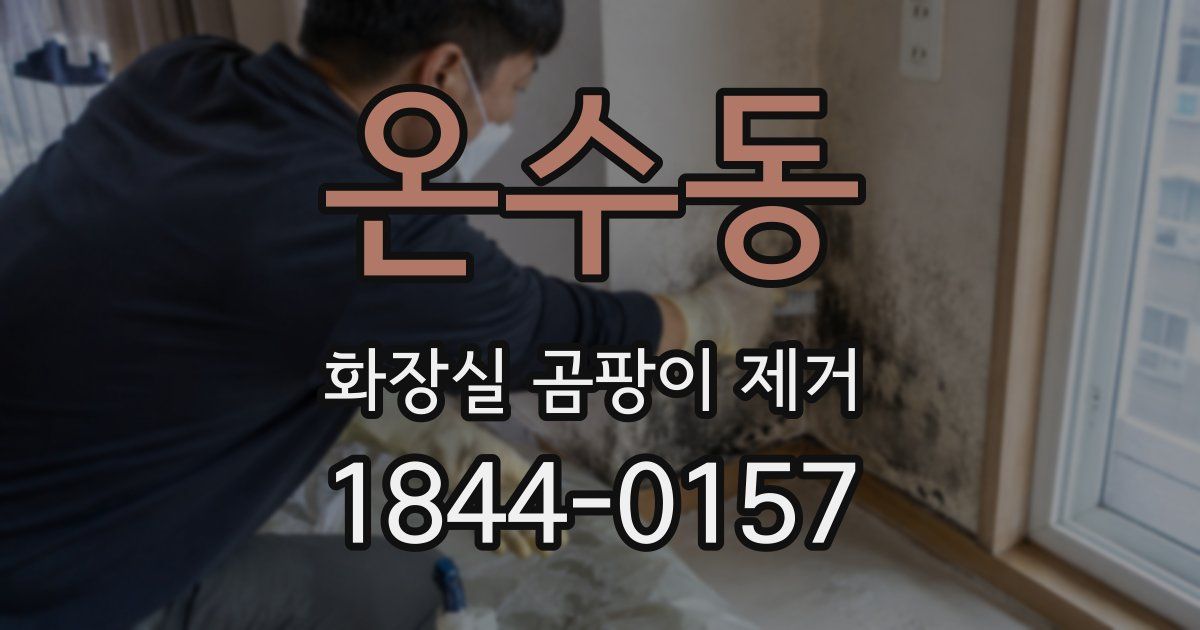 온수동 화장실 곰팡이 제거