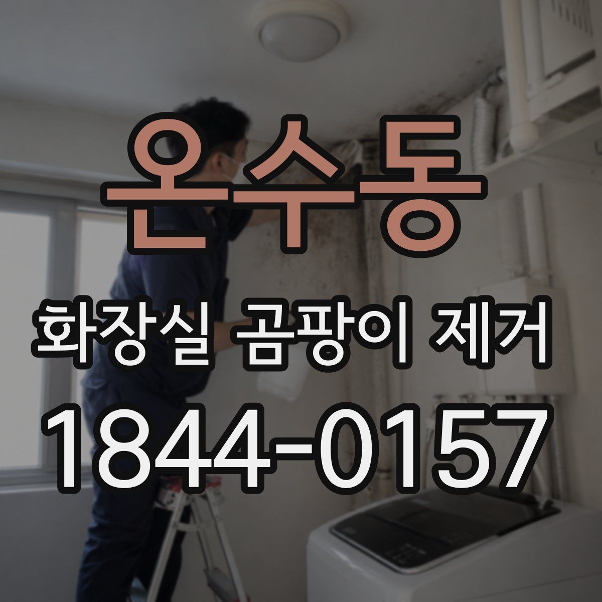 온수동 화장실 곰팡이 제거