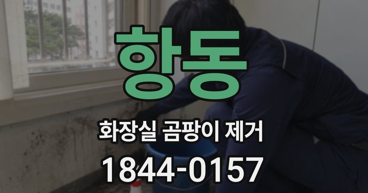 항동 화장실 곰팡이 제거