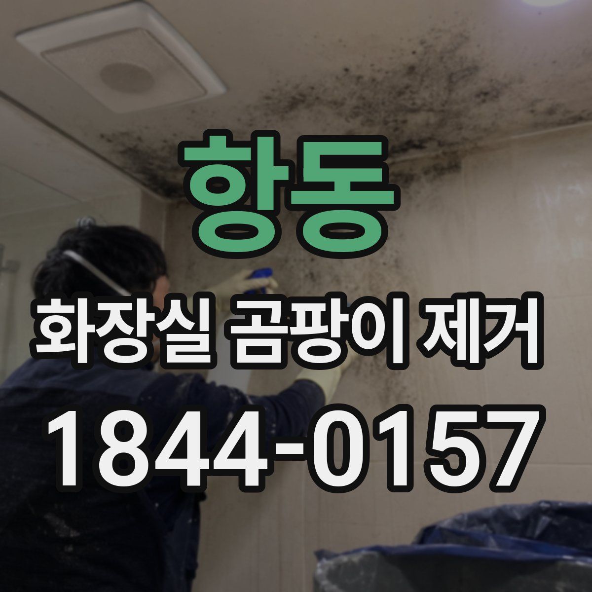 항동 화장실 곰팡이 제거