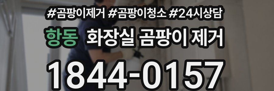 항동 화장실 곰팡이 제거