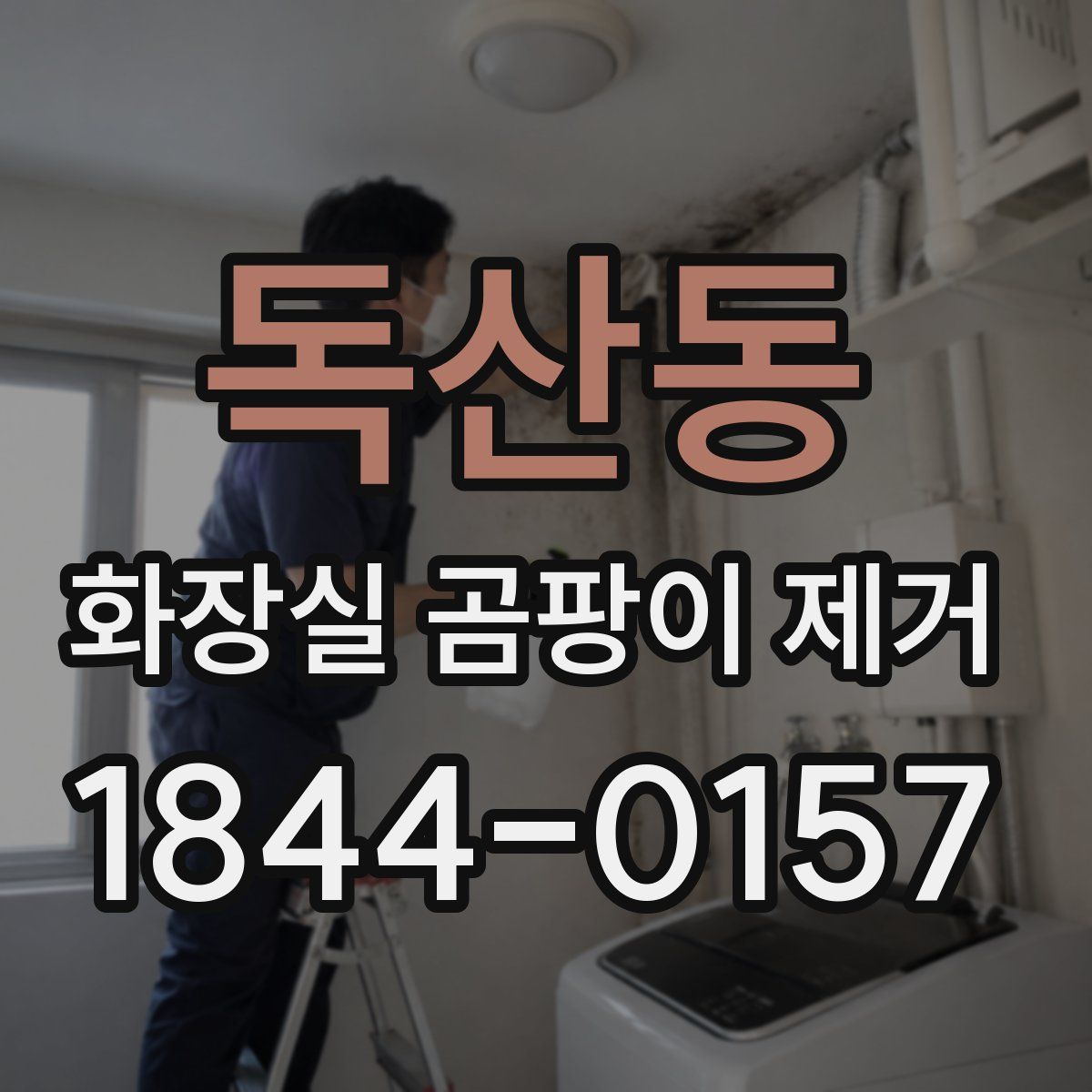 독산동 화장실 곰팡이 제거
