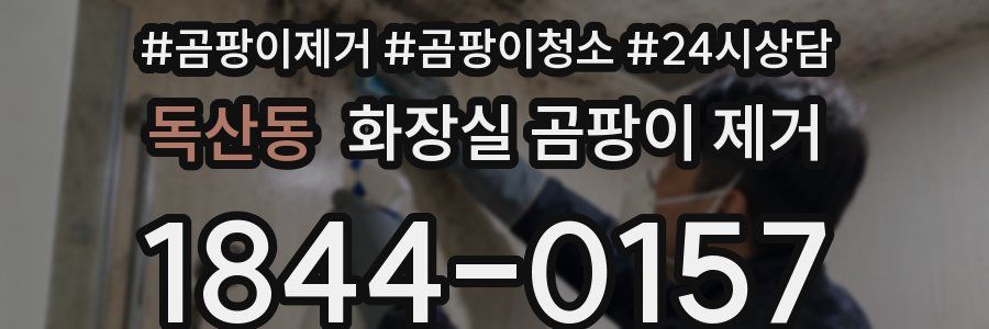 독산동 화장실 곰팡이 제거