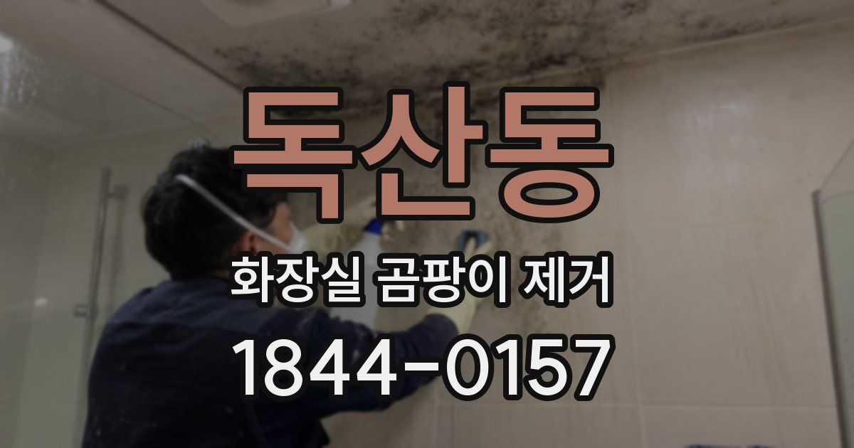 독산동 화장실 곰팡이 제거