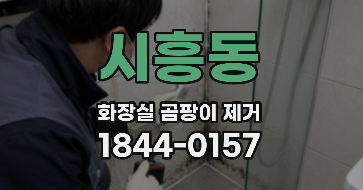 시흥동 화장실 곰팡이 제거