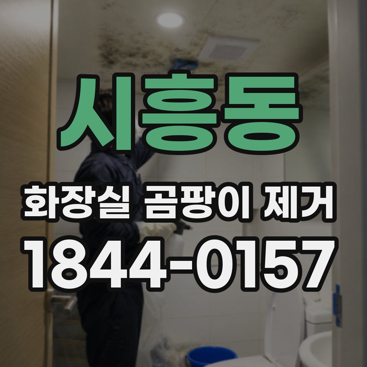 시흥동 화장실 곰팡이 제거