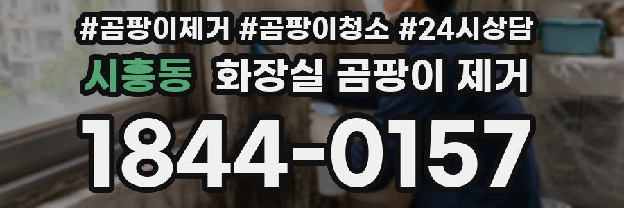 시흥동 화장실 곰팡이 제거