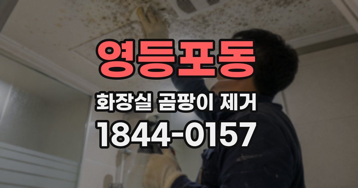 영등포동 화장실 곰팡이 제거
