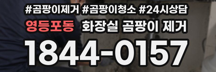 영등포동 화장실 곰팡이 제거
