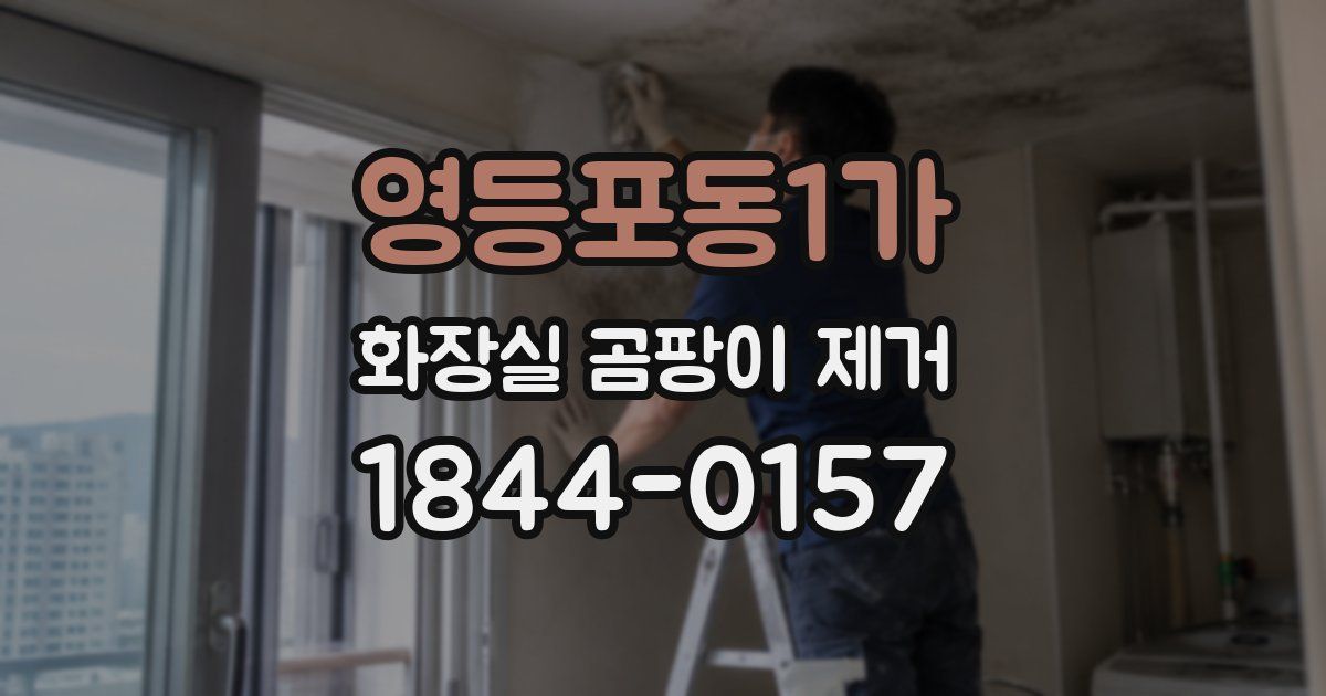 영등포동1가 화장실 곰팡이 제거