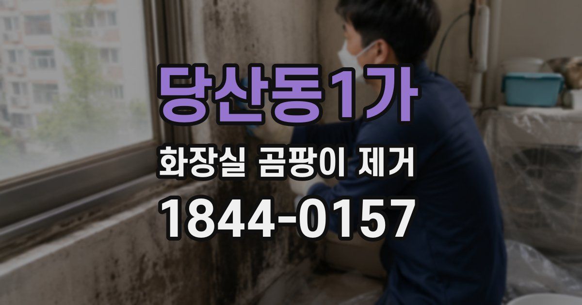 당산동1가 화장실 곰팡이 제거