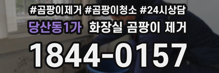 당산동1가 화장실 곰팡이 제거
