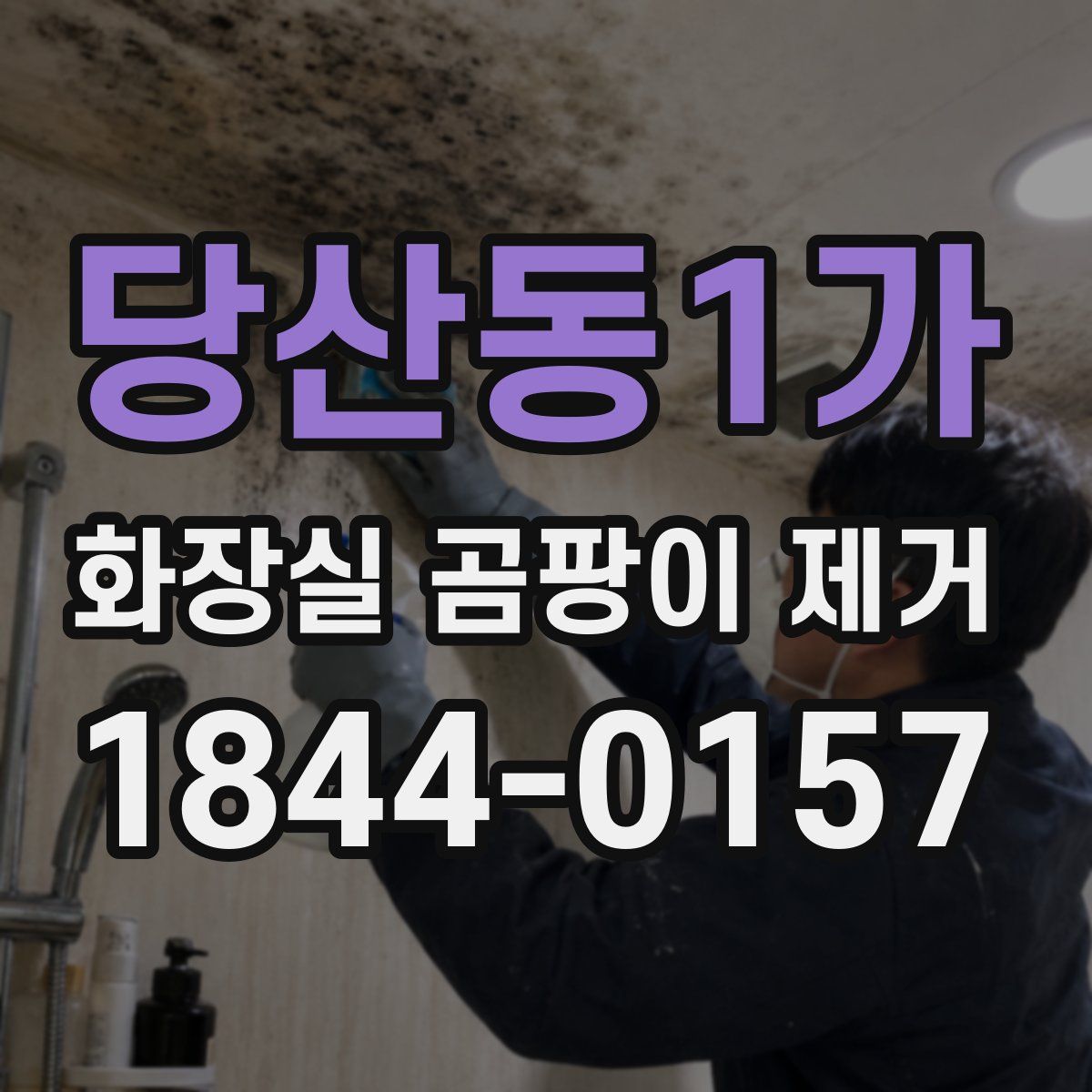 당산동1가 화장실 곰팡이 제거