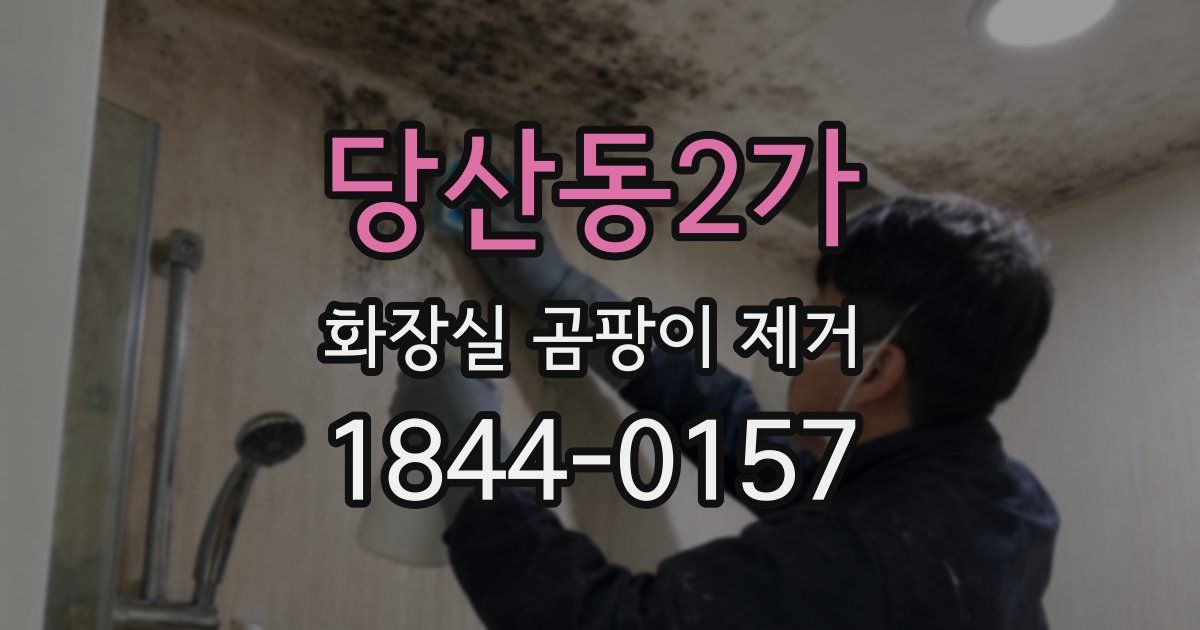 당산동2가 화장실 곰팡이 제거