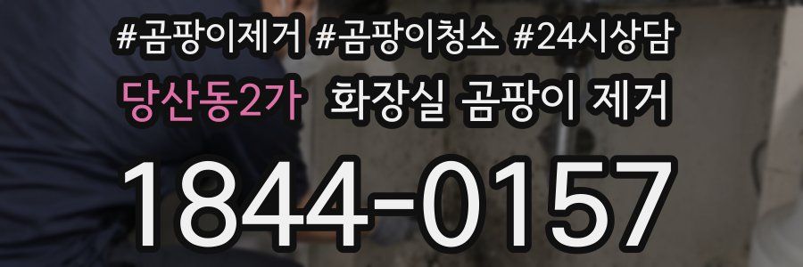 당산동2가 화장실 곰팡이 제거