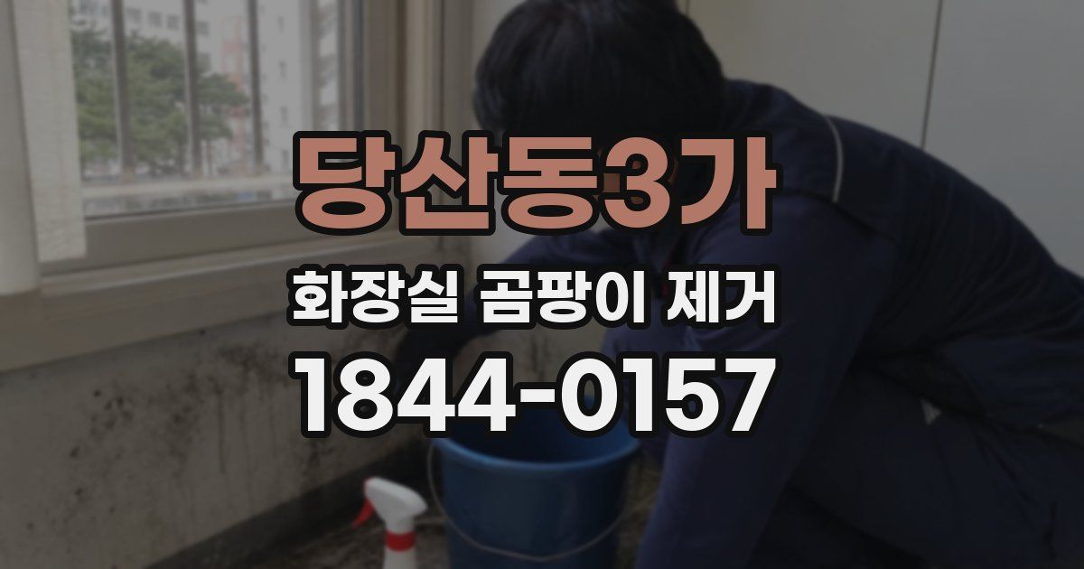 당산동3가 화장실 곰팡이 제거