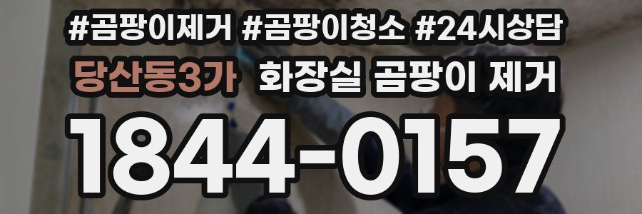 당산동3가 화장실 곰팡이 제거