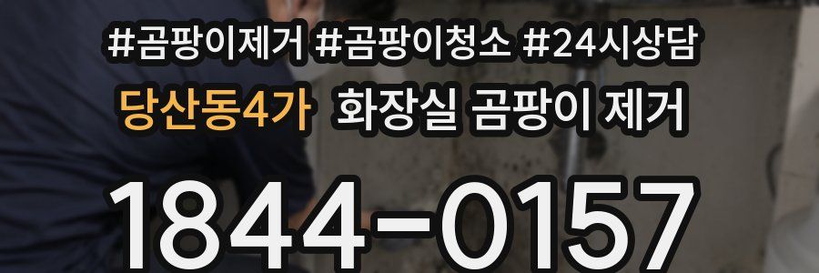 당산동4가 화장실 곰팡이 제거