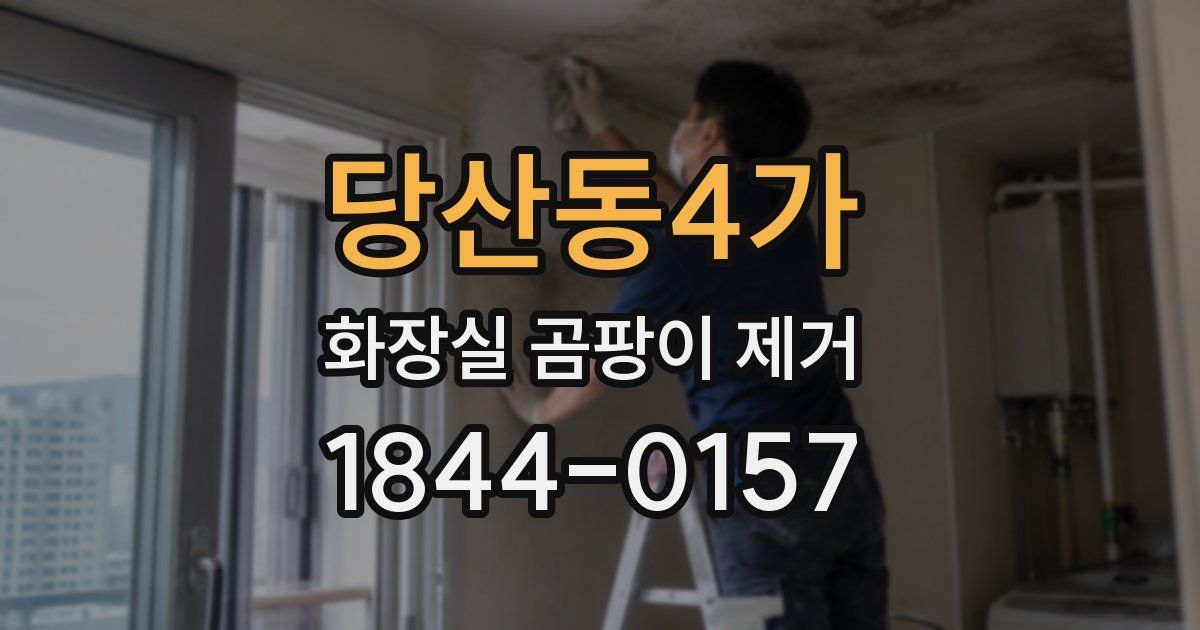 당산동4가 화장실 곰팡이 제거