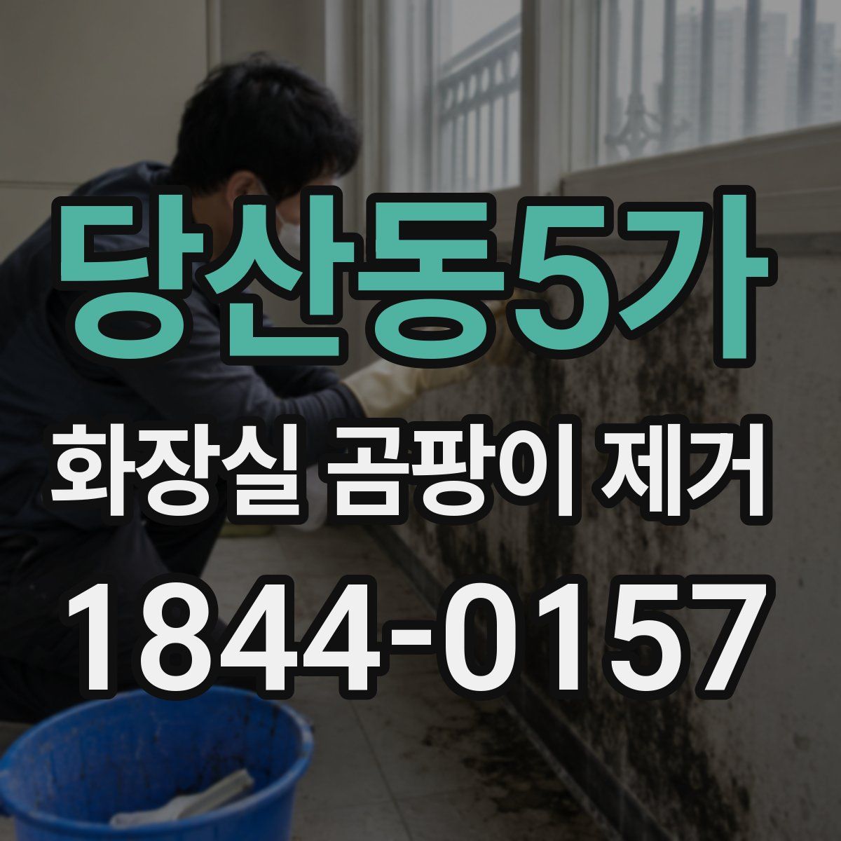 당산동5가 화장실 곰팡이 제거