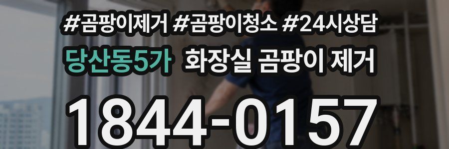 당산동5가 화장실 곰팡이 제거