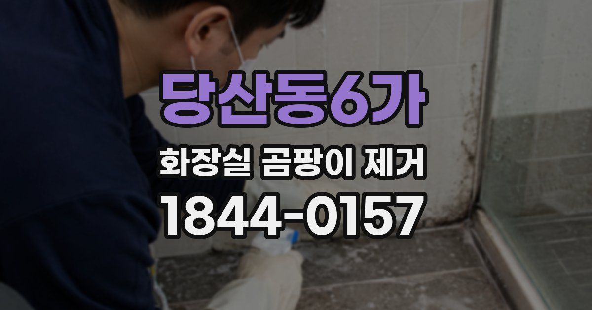 당산동6가 화장실 곰팡이 제거
