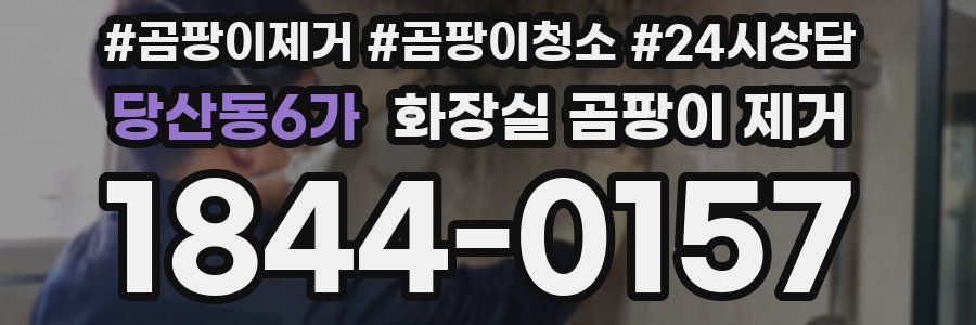 당산동6가 화장실 곰팡이 제거