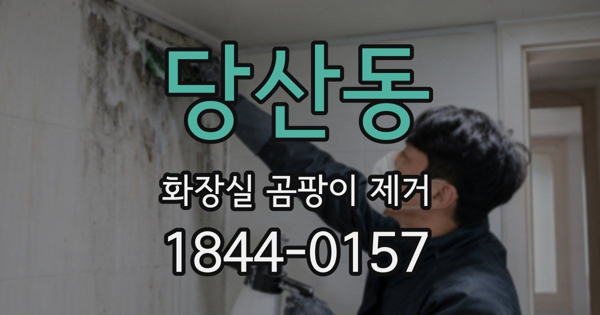 당산동 화장실 곰팡이 제거
