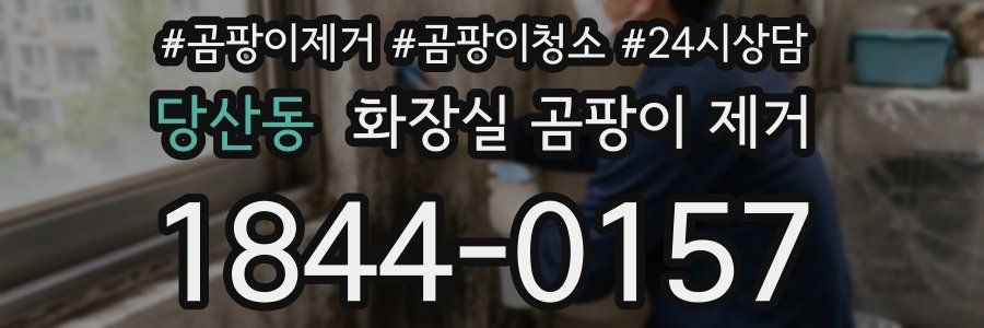 당산동 화장실 곰팡이 제거