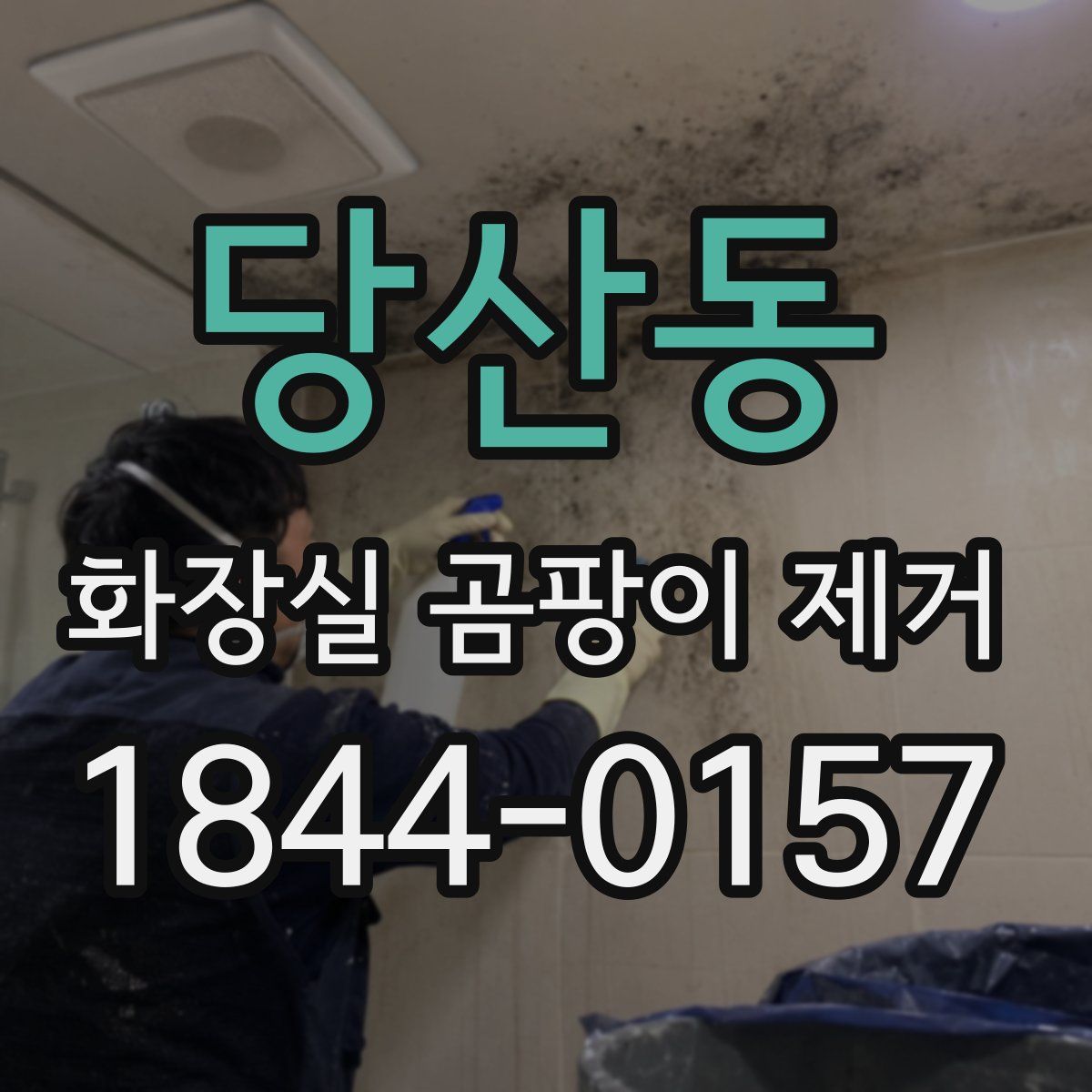 당산동 화장실 곰팡이 제거