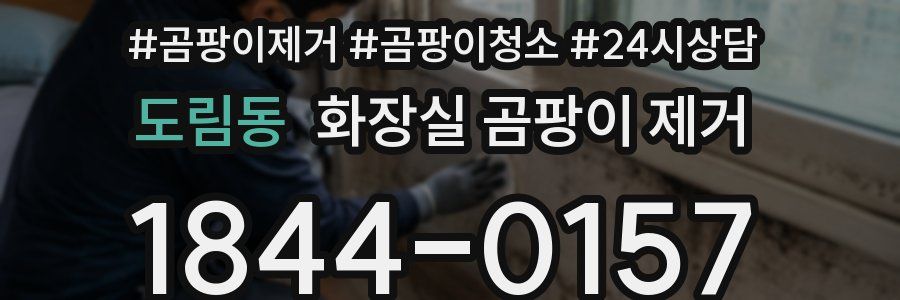도림동 화장실 곰팡이 제거