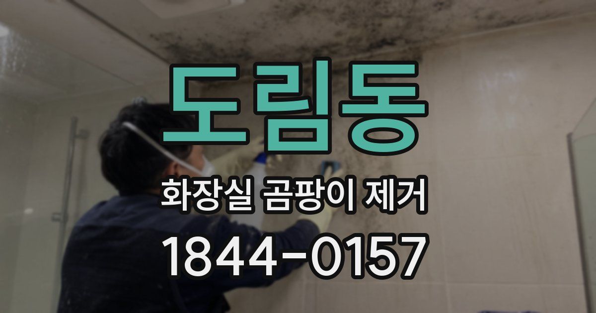도림동 화장실 곰팡이 제거