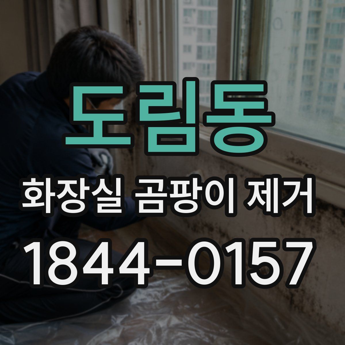 도림동 화장실 곰팡이 제거