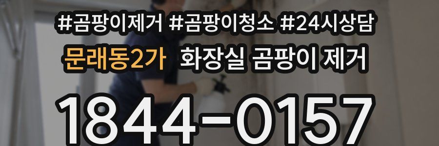 문래동2가 화장실 곰팡이 제거