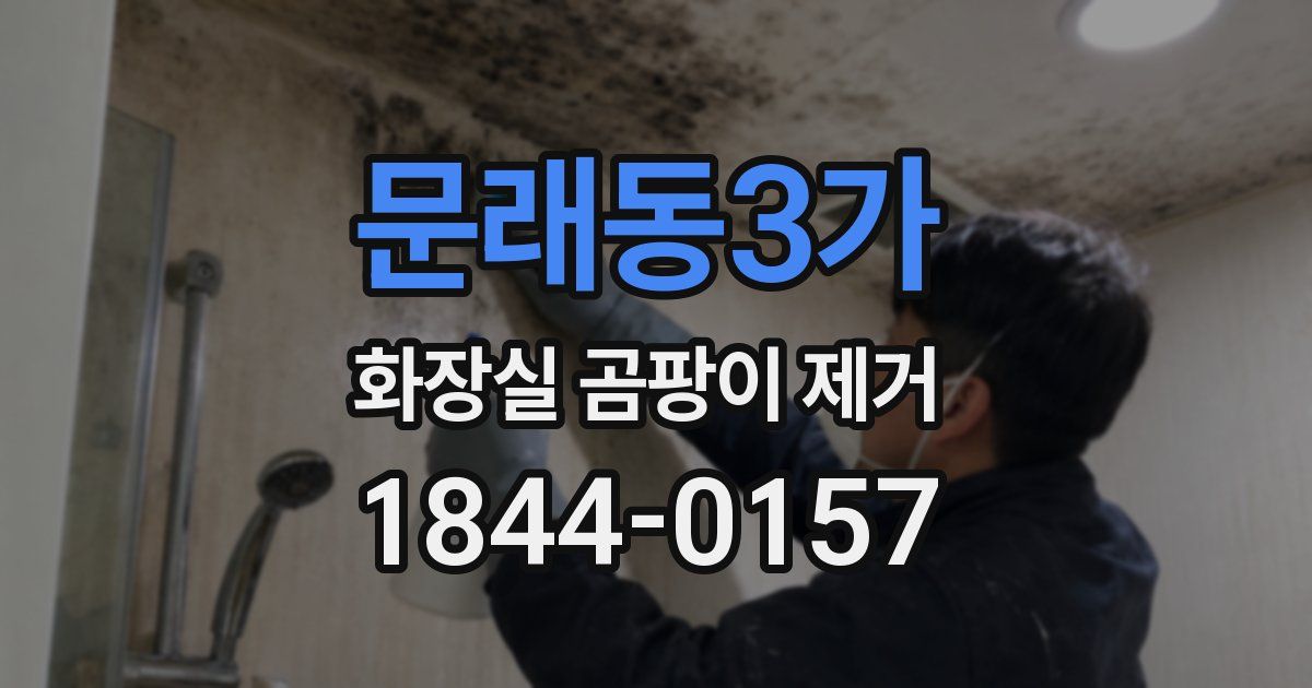 문래동3가 화장실 곰팡이 제거